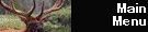 Main Menu